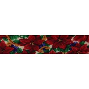 Bies Estampado Flores Rojas 18mm